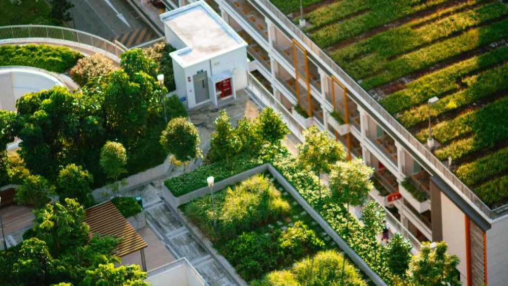 An aerial view of a green roof on top of a building. 