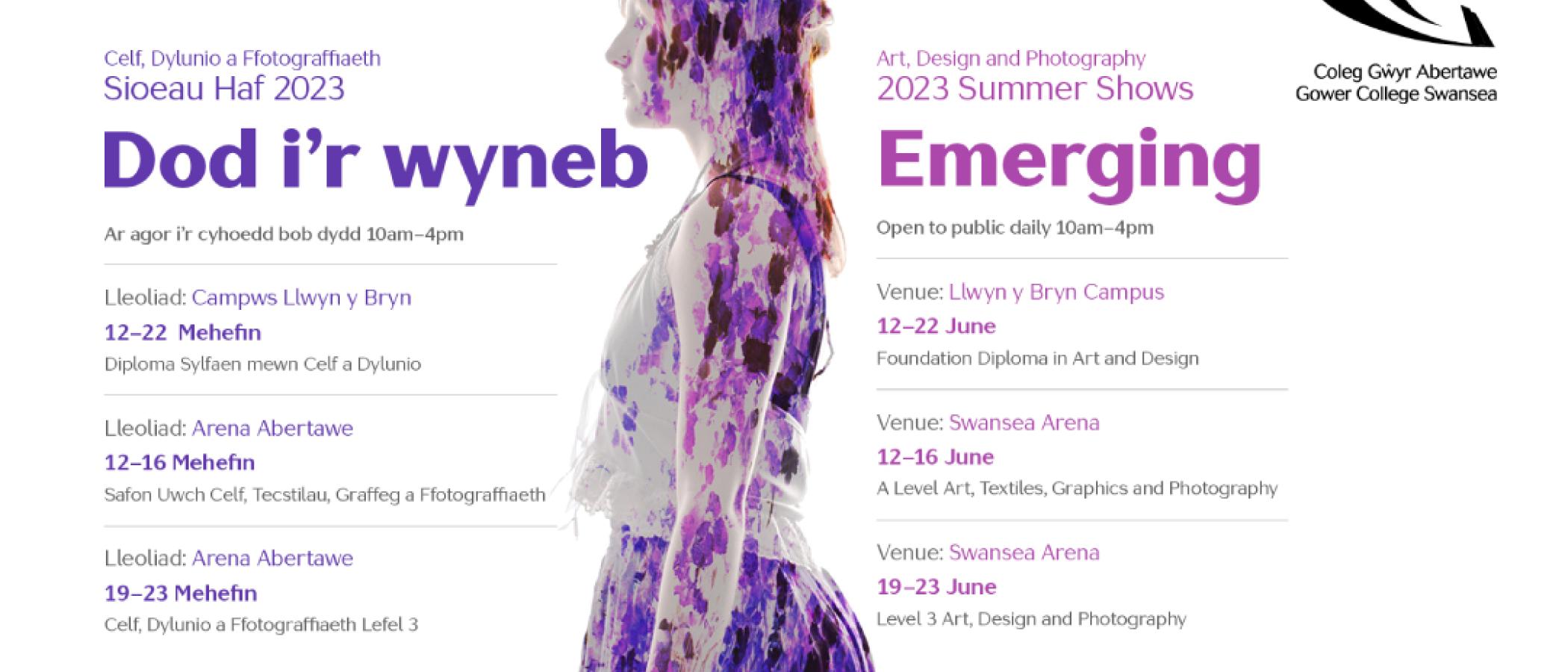 Art and Design summer shows poster