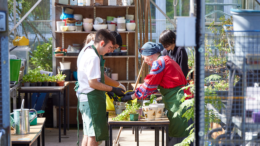 ILS students in a greenhouse potting plants