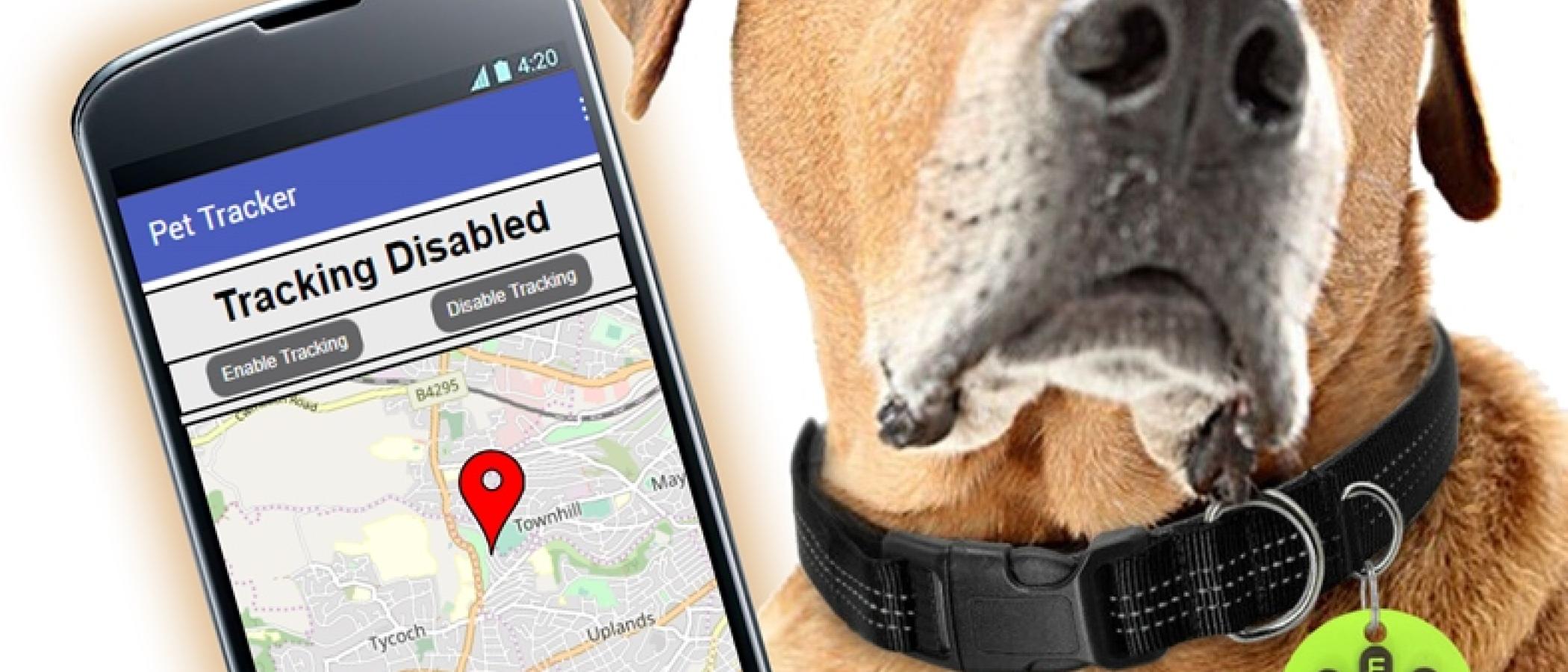 Tracker for pesky pets a hit for IT students