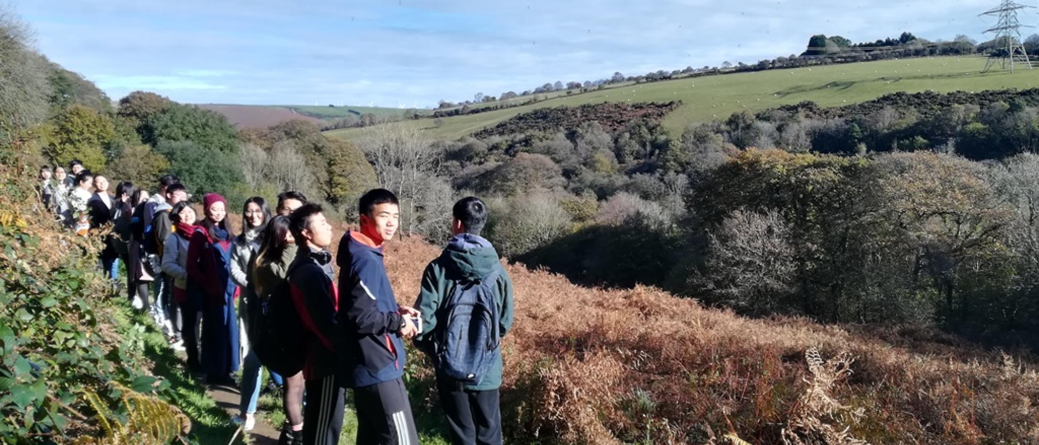 How green is my valley?