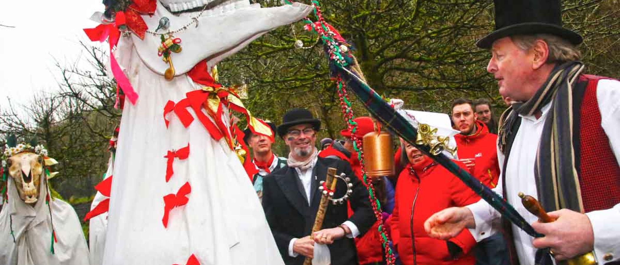 Mari Lwyd