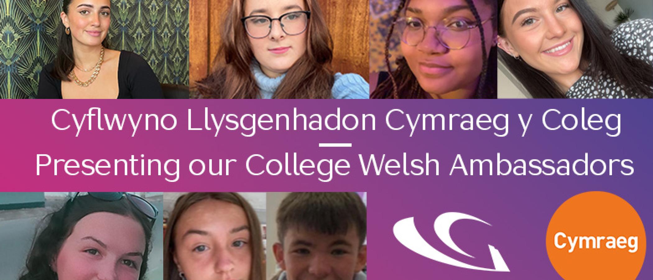 Portrait photos of Welsh Ambassadors