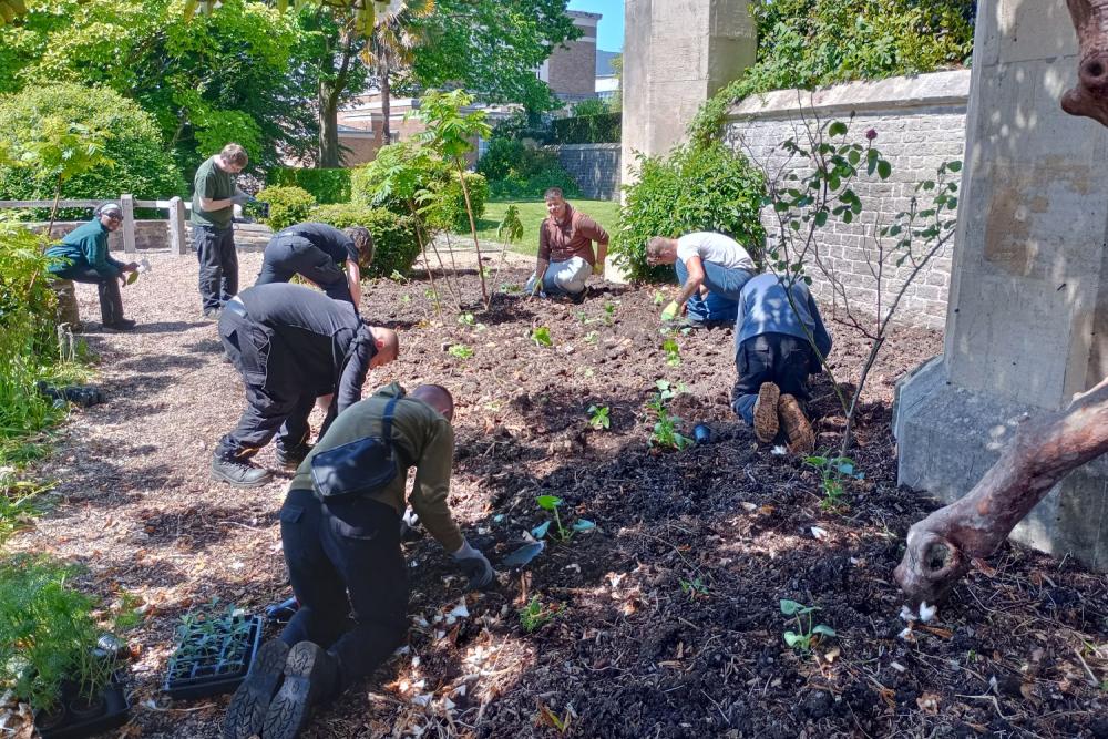 College and University partnership in bloom