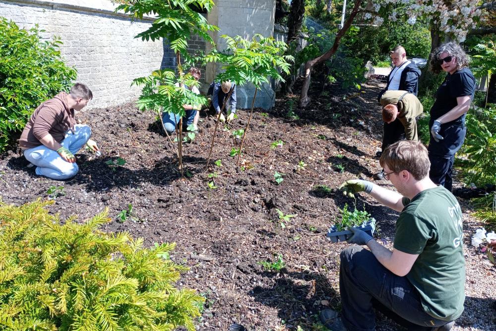 College and University partnership in bloom