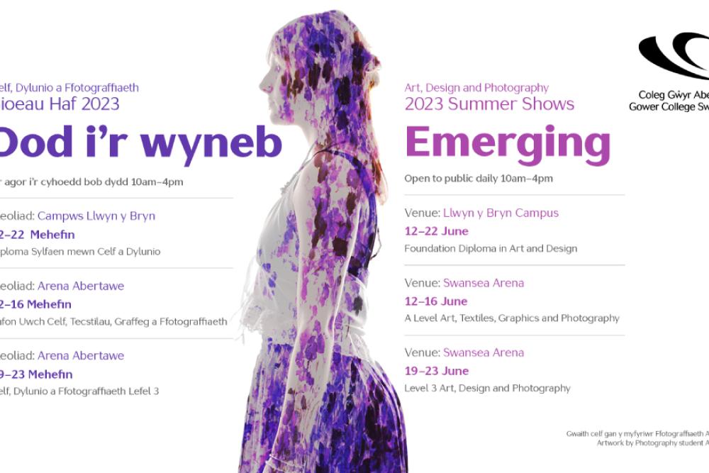 Art and Design summer shows poster