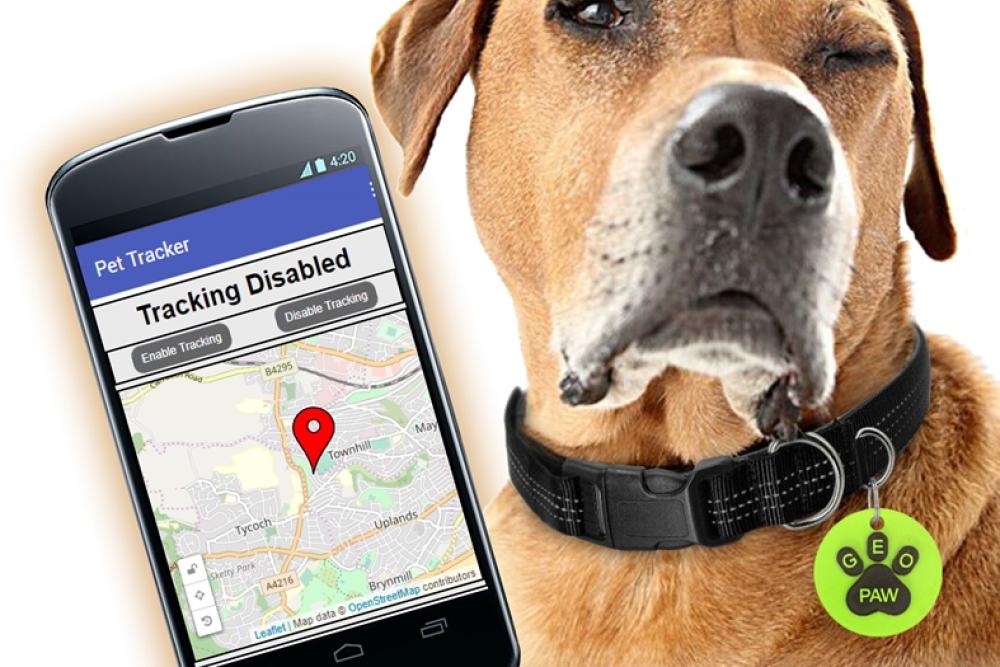 Tracker for pesky pets a hit for IT students