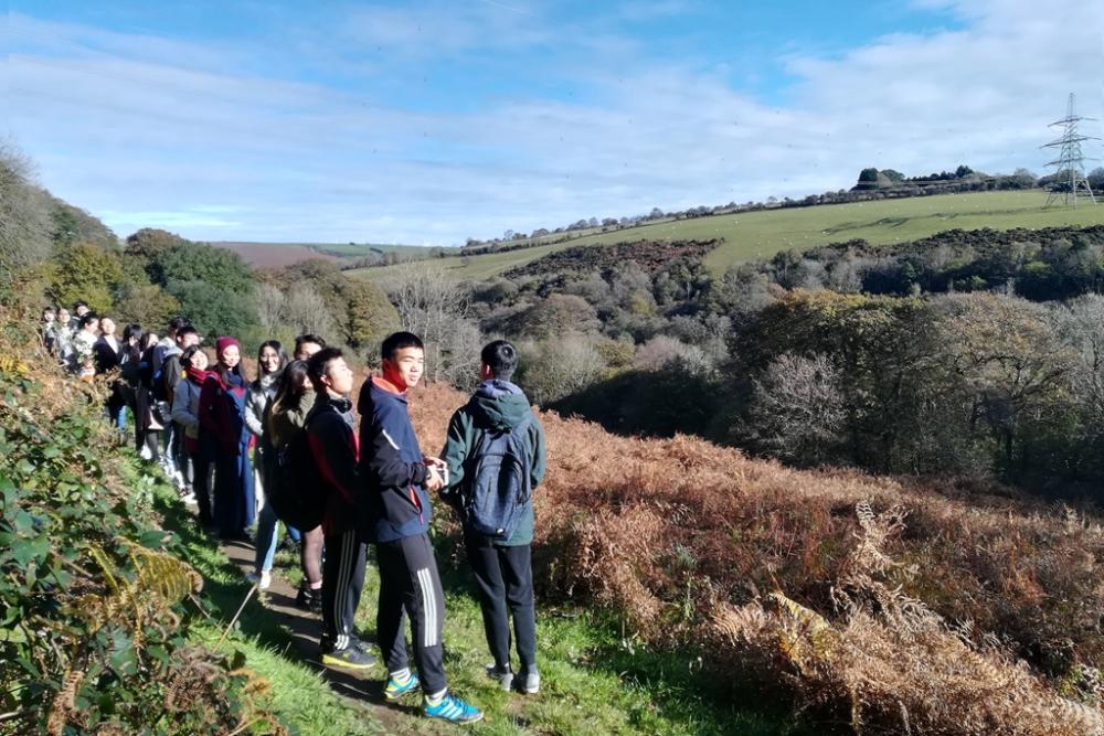 How green is my valley?