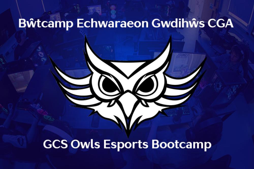 GCS Owls Esports Bootcamp