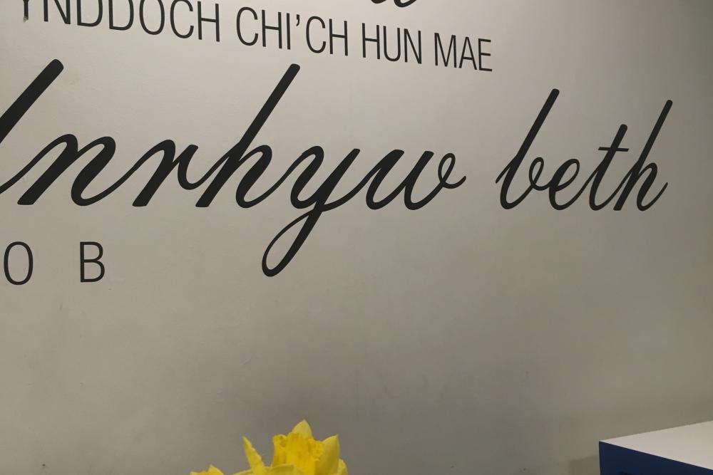 Celebrating 'Welsh Week'