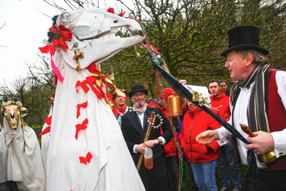 Mari Lwyd