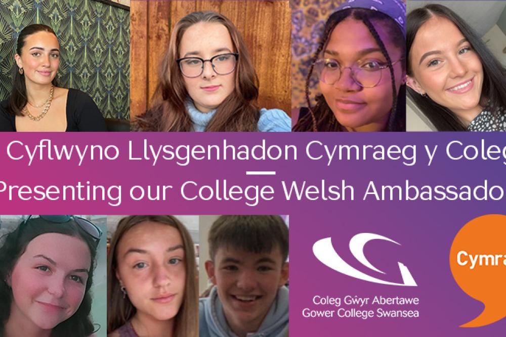 Portrait photos of Welsh Ambassadors