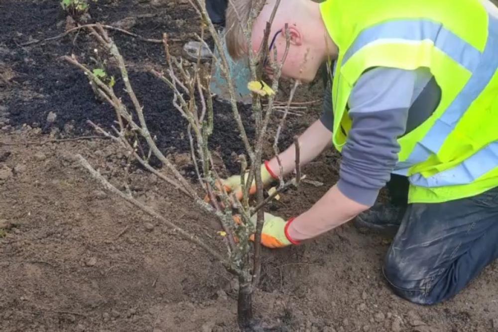 Welsh students with Adam yn yr Ardd