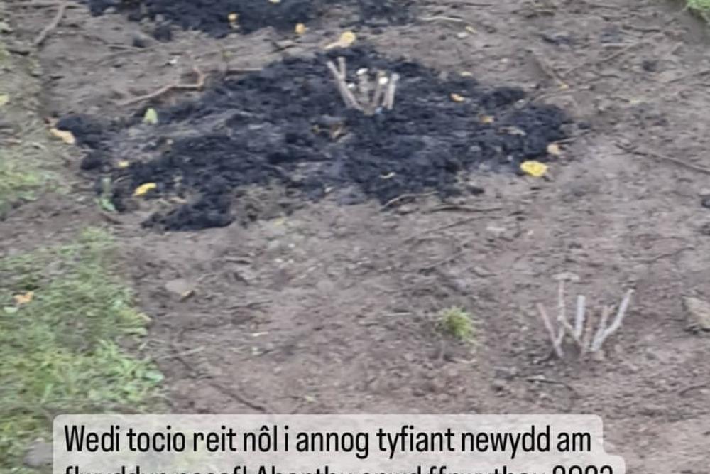 Welsh students with Adam yn yr Ardd